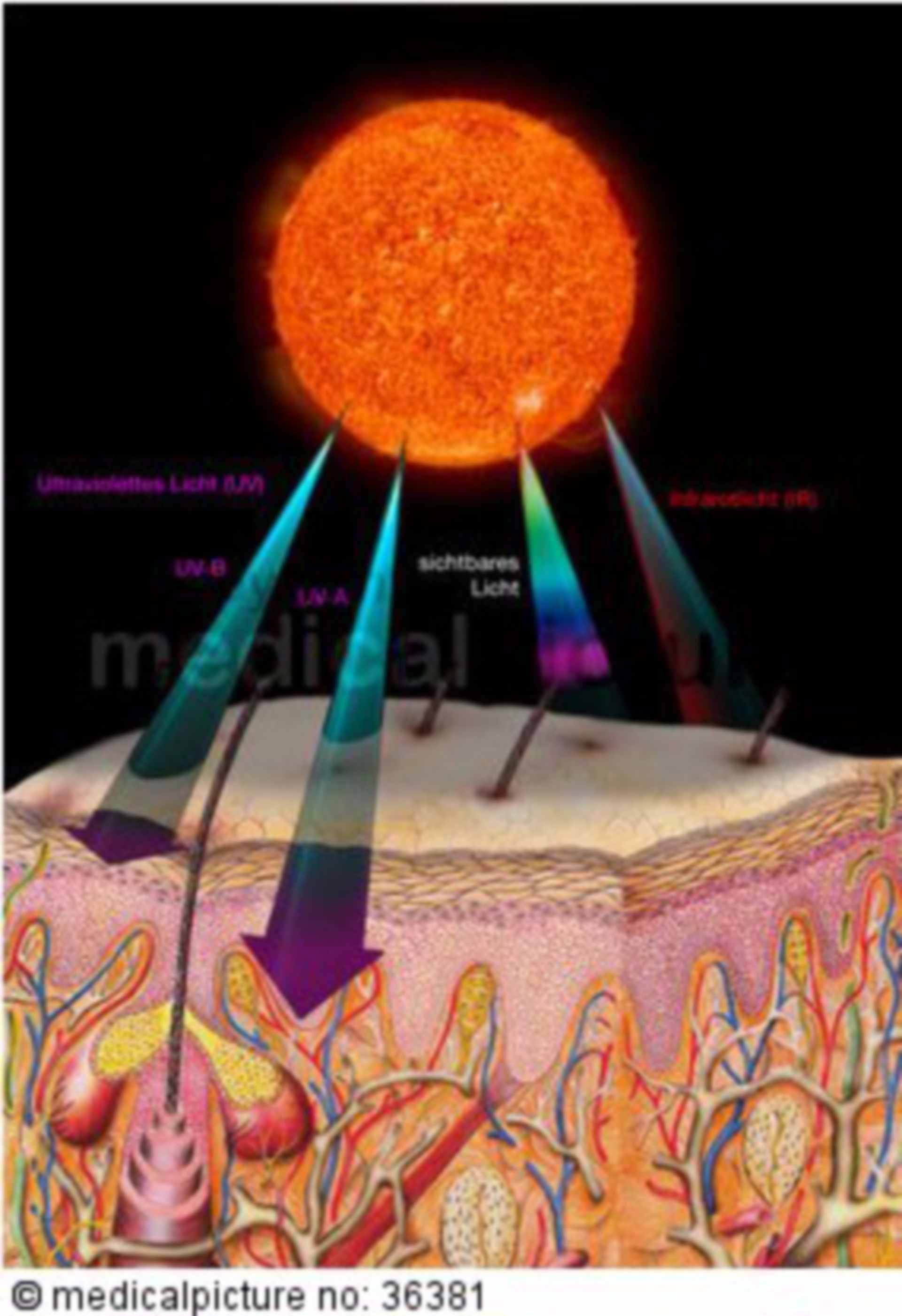  Sonne und elektromagnetische Strahlen 
