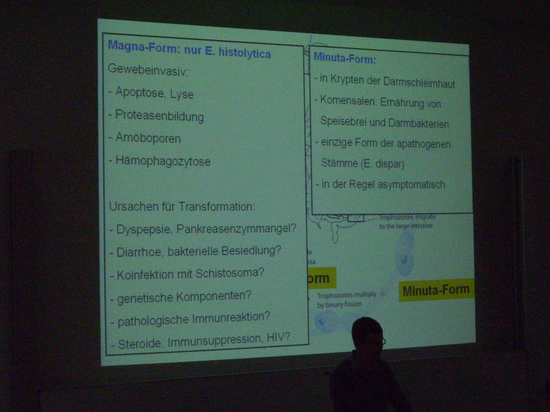 Corso di medicina tropicale a Lipsia