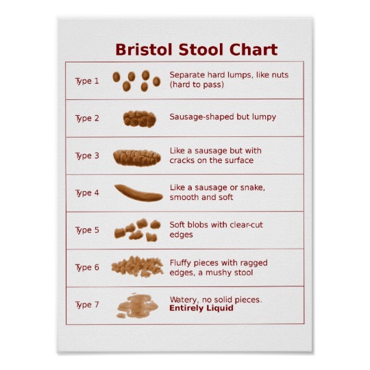 bristol_stool_chart_scale-r2ed7e09c80144