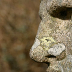 Keimblatt Doccheck Flexikon