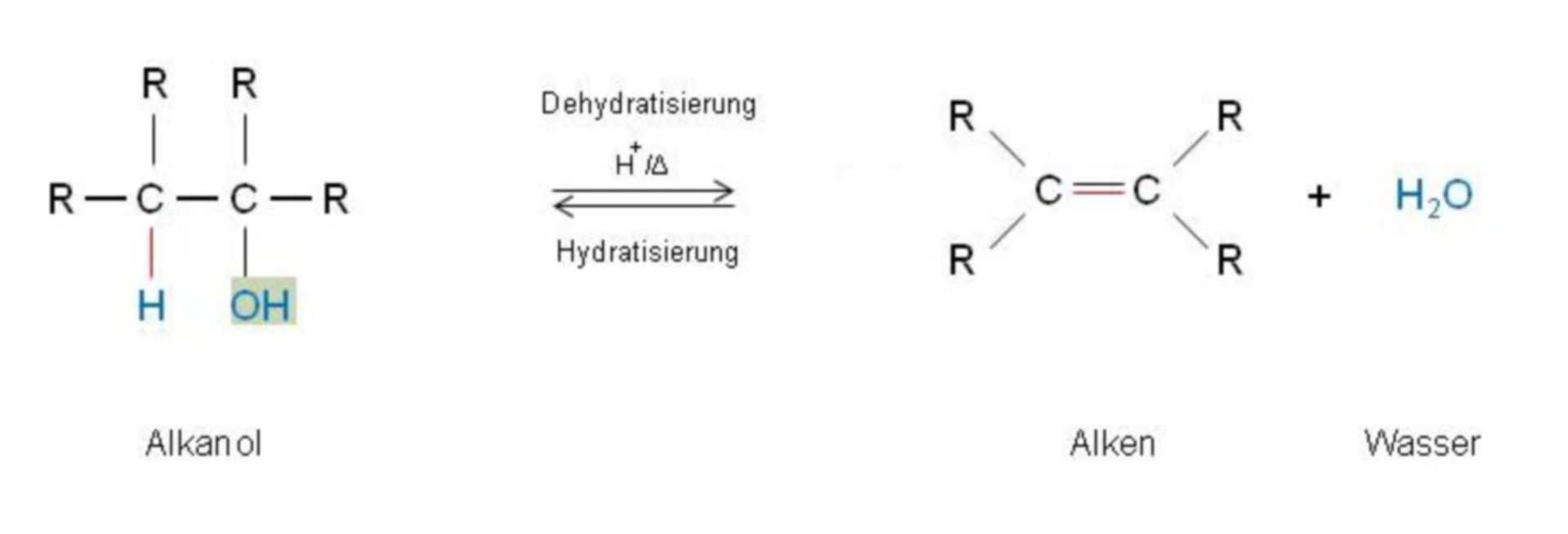 Dehydratisierung + Hydratisierung