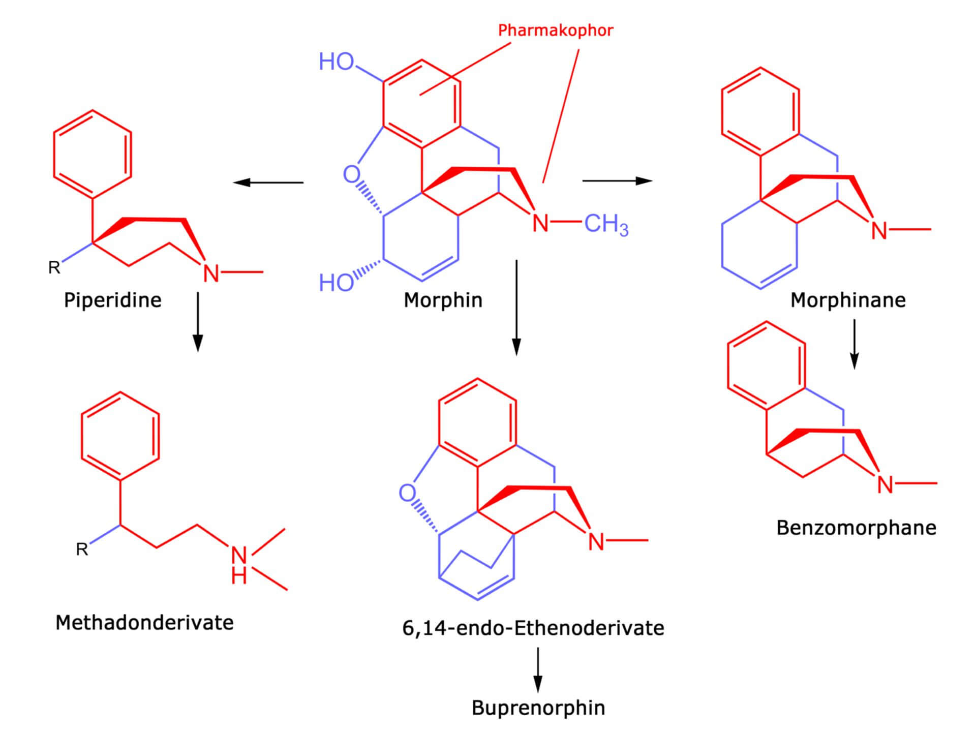 Die Opioide als Abkömmlinge des Morphins