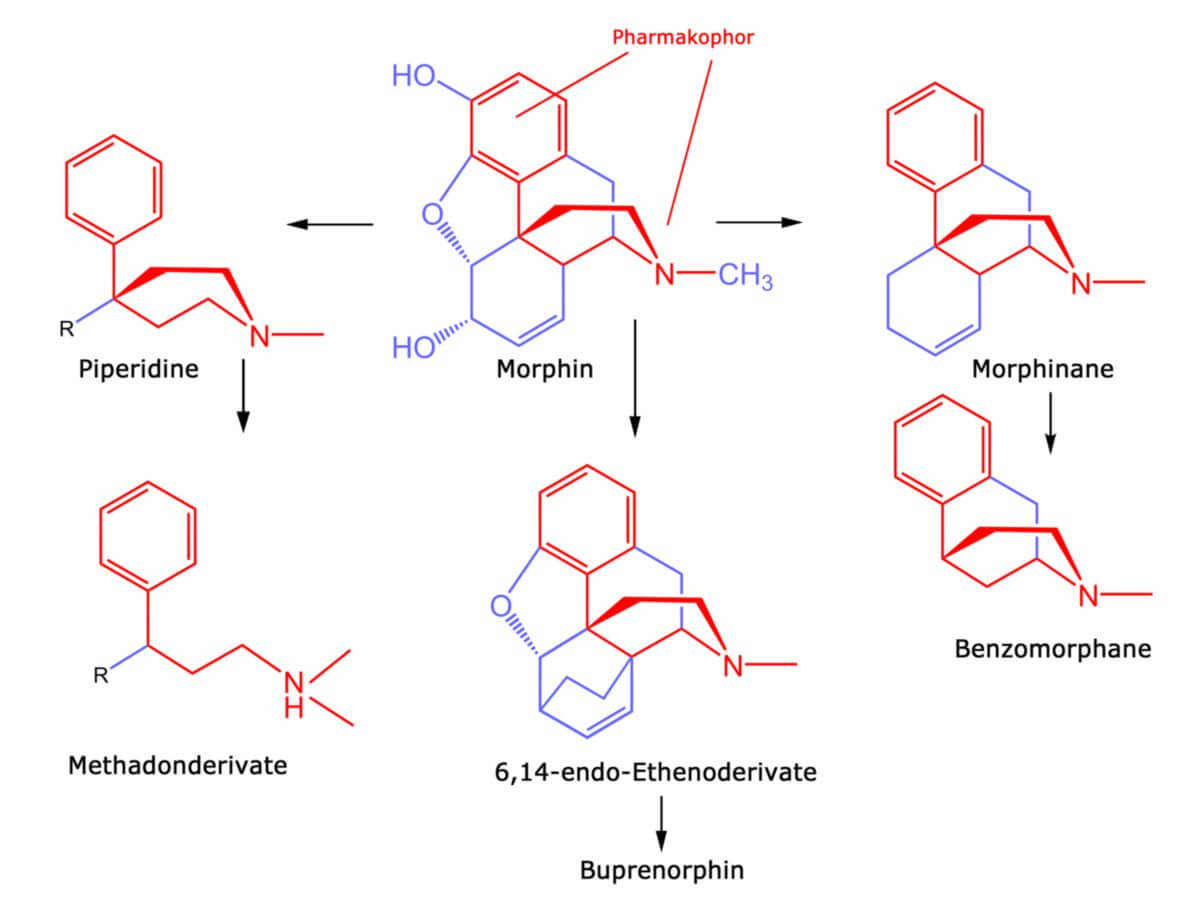 Die Opioide als Abkömmlinge des Morphins