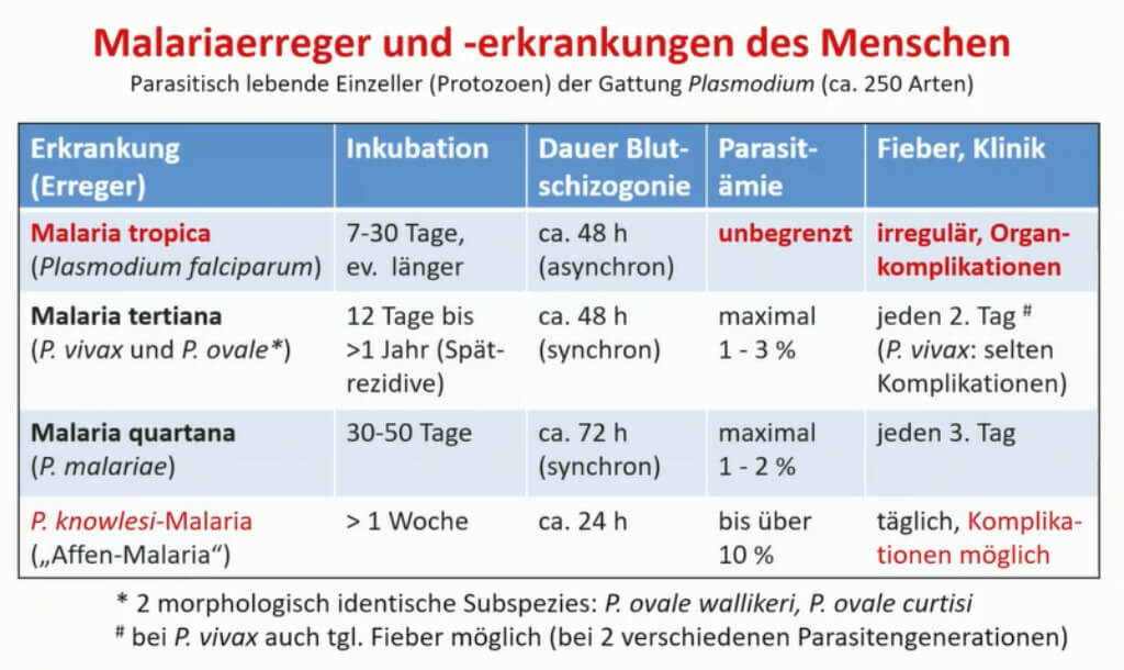 doccheck_-_09_malaria_-_01__berblick_typen_original.jpg