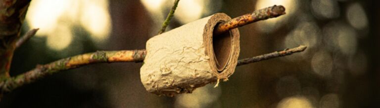 Knstliche Beatmung: Wann starten, wann stoppen? - DocCheck