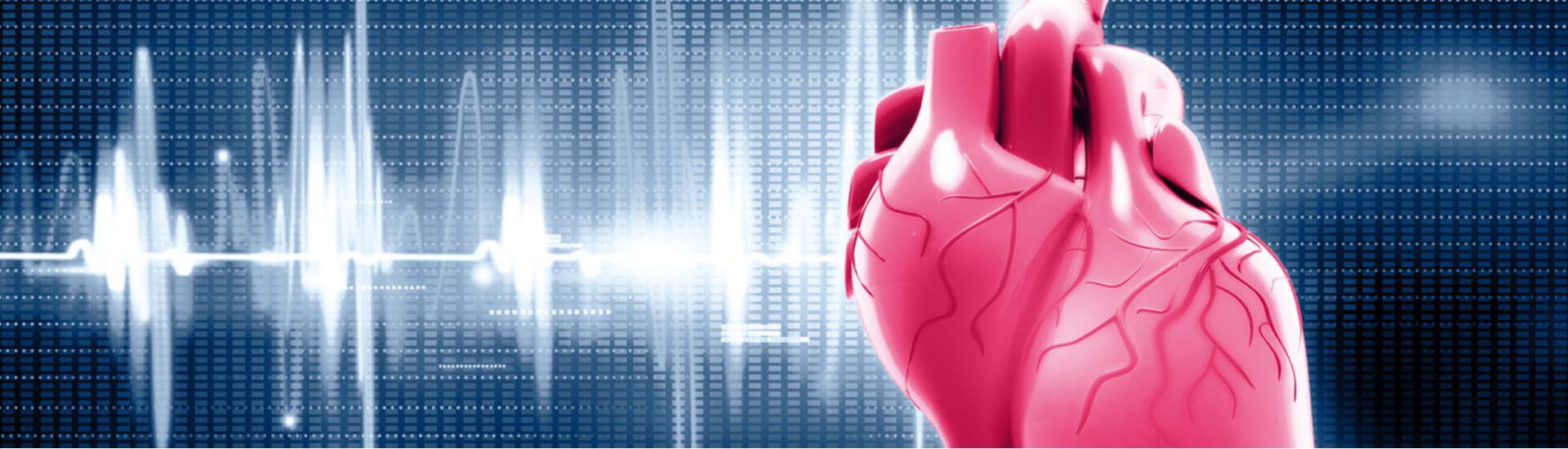 12Kanal. Neues aus der Kardiologie DocCheck