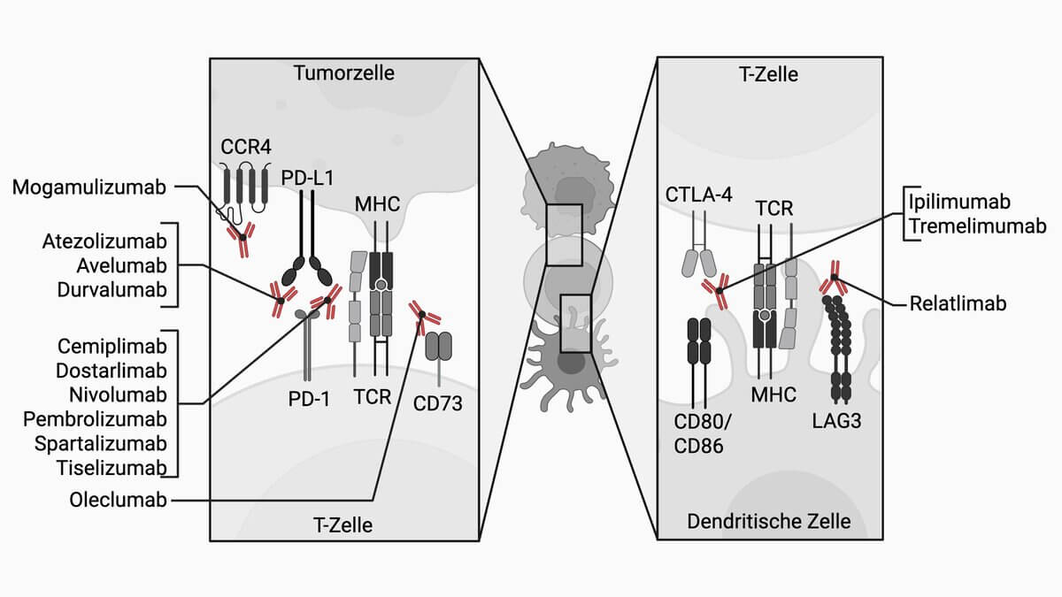 Checkpoint-Inhibitoren