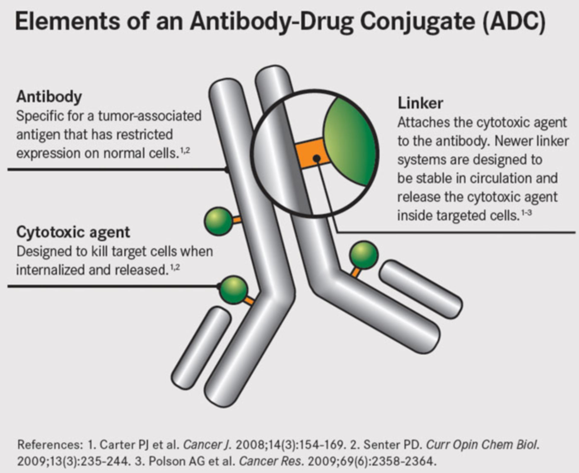 Schematischer Aufbau Antikörper-Medikamenten-Verbindung