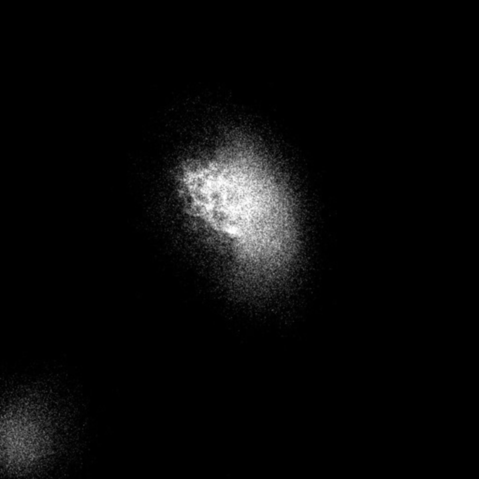 Homo sapiens (Endoplasmic reticulum) - CIL:9164