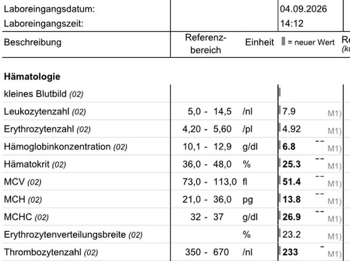 Musterbefund Anämie normale Erythrozytenzahl