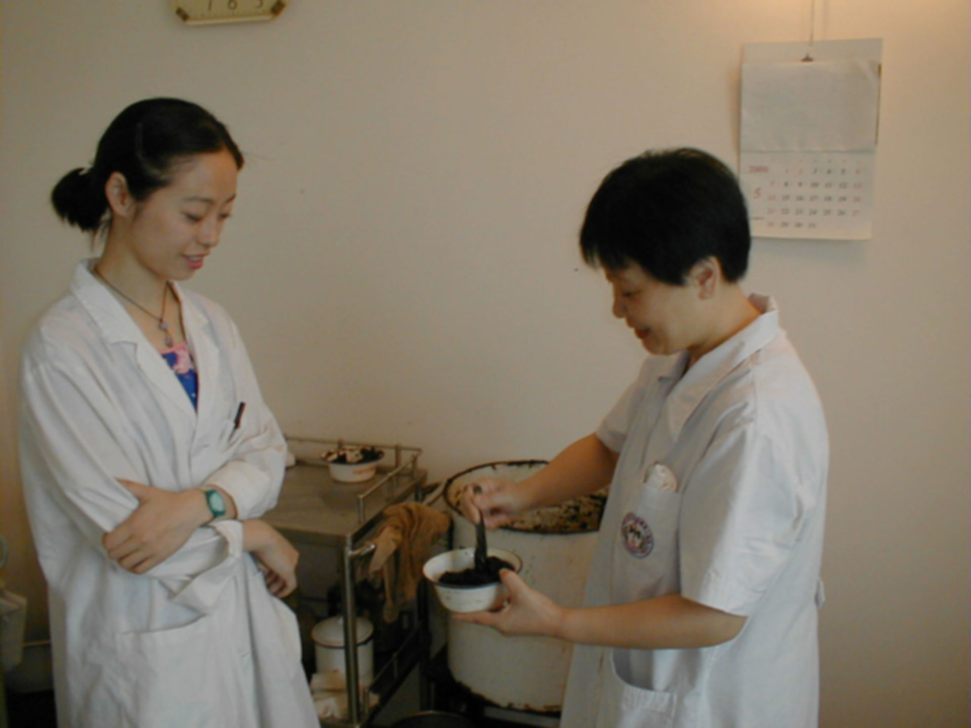 Traditionelle Chinesische Medizin (TCM)