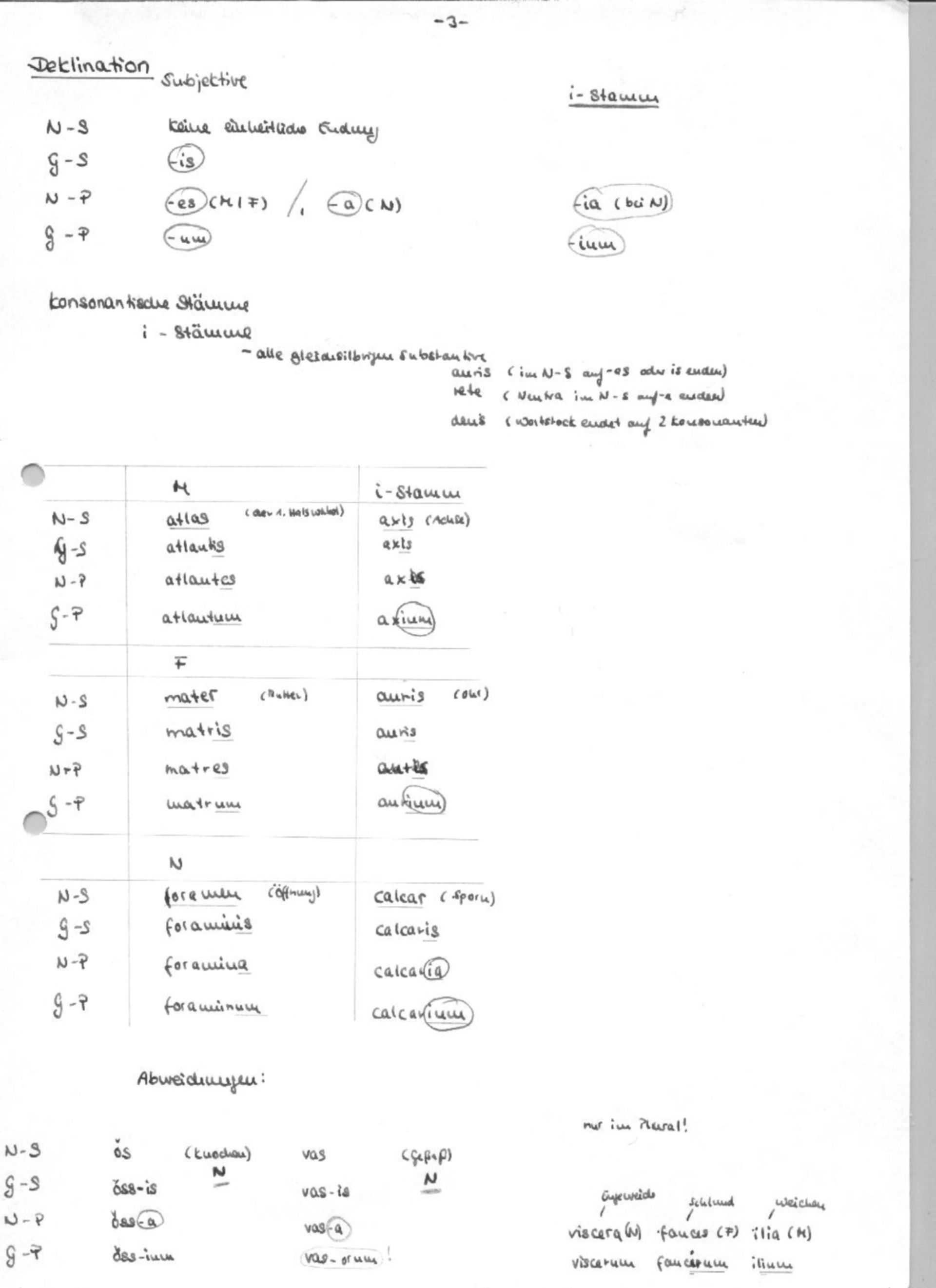 Praktikumsskript Terminologie - neu-3.jpg