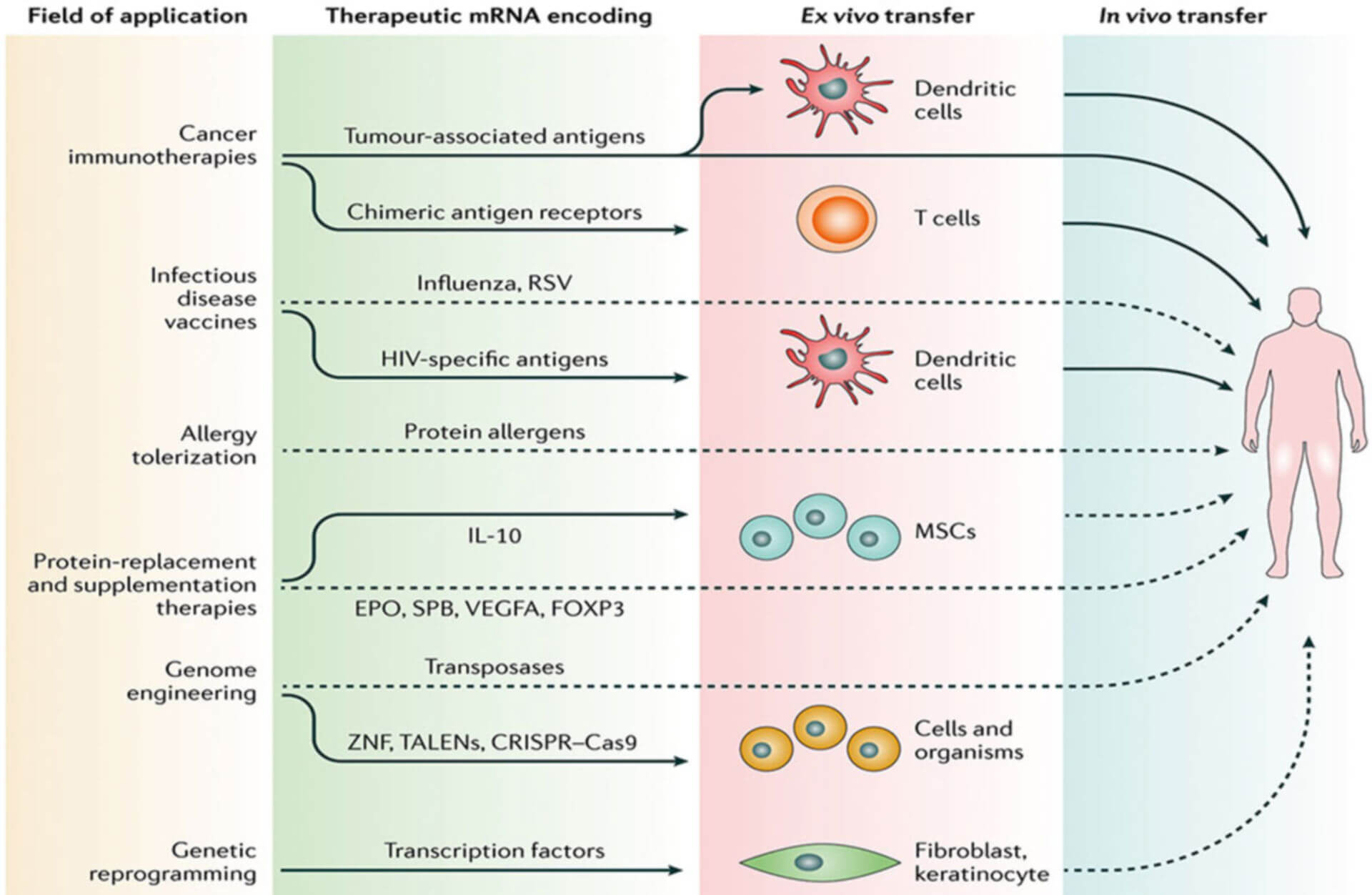 Premade mRNA Products