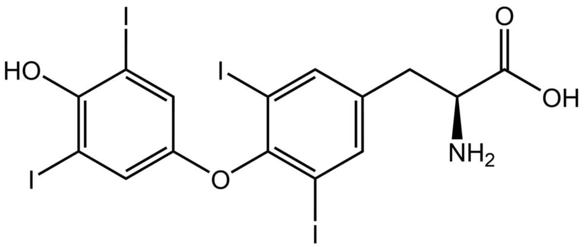 L-Thyroxin