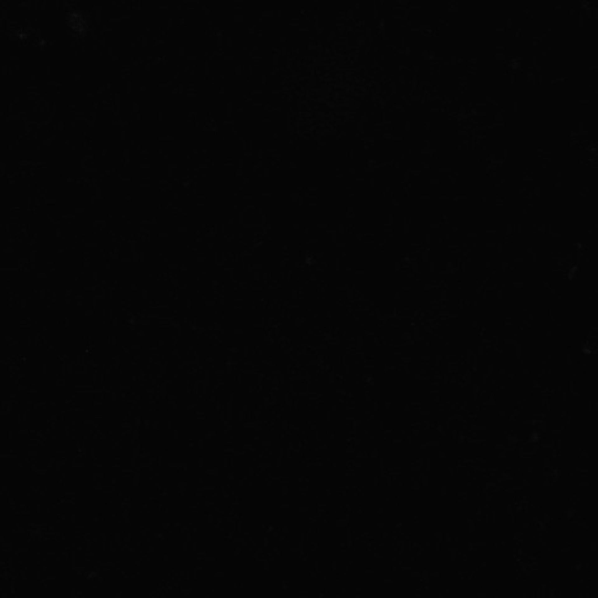 Xenopus laevis (Neuronal cell body) - CIL:36911