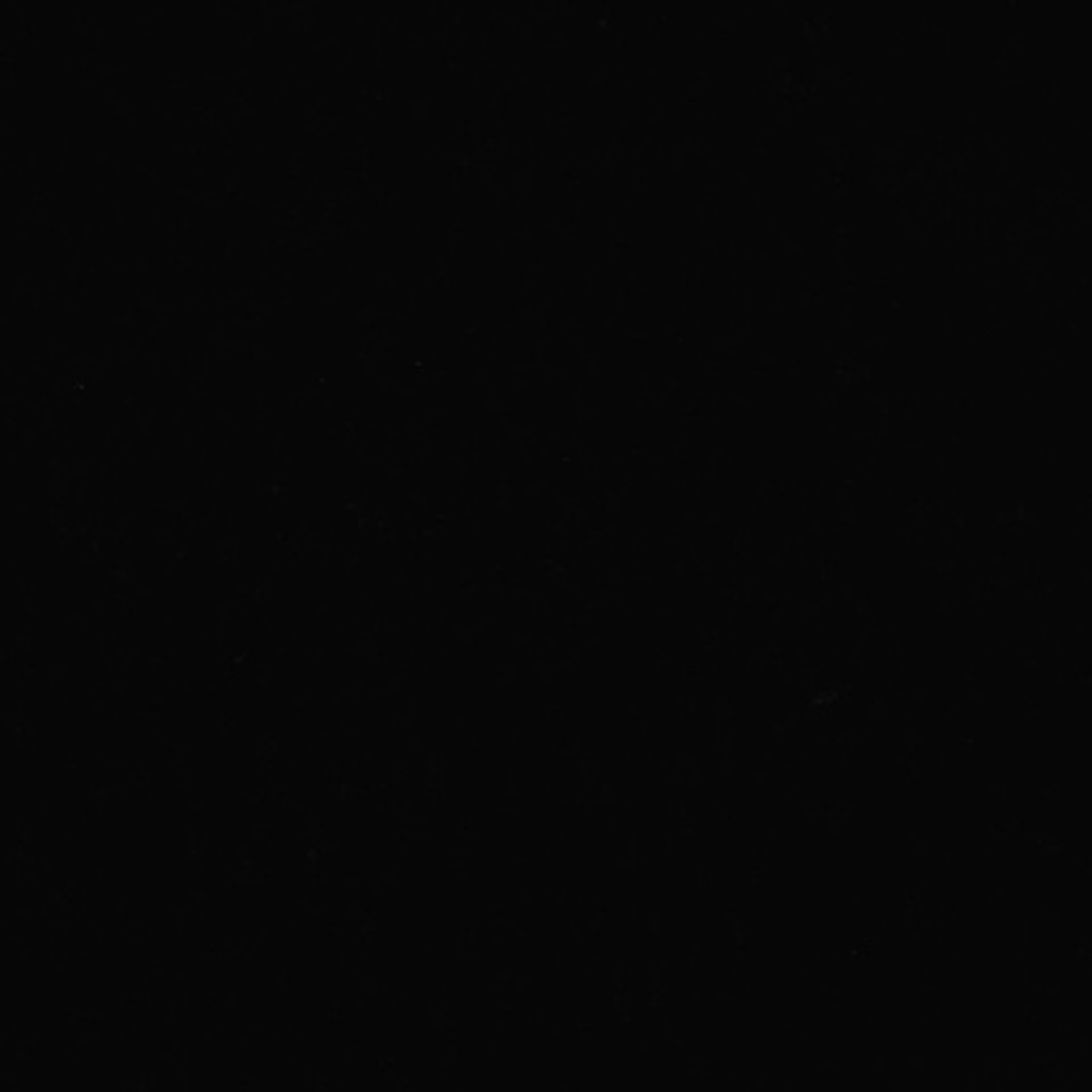 Xenopus laevis (Axon) - CIL:37002