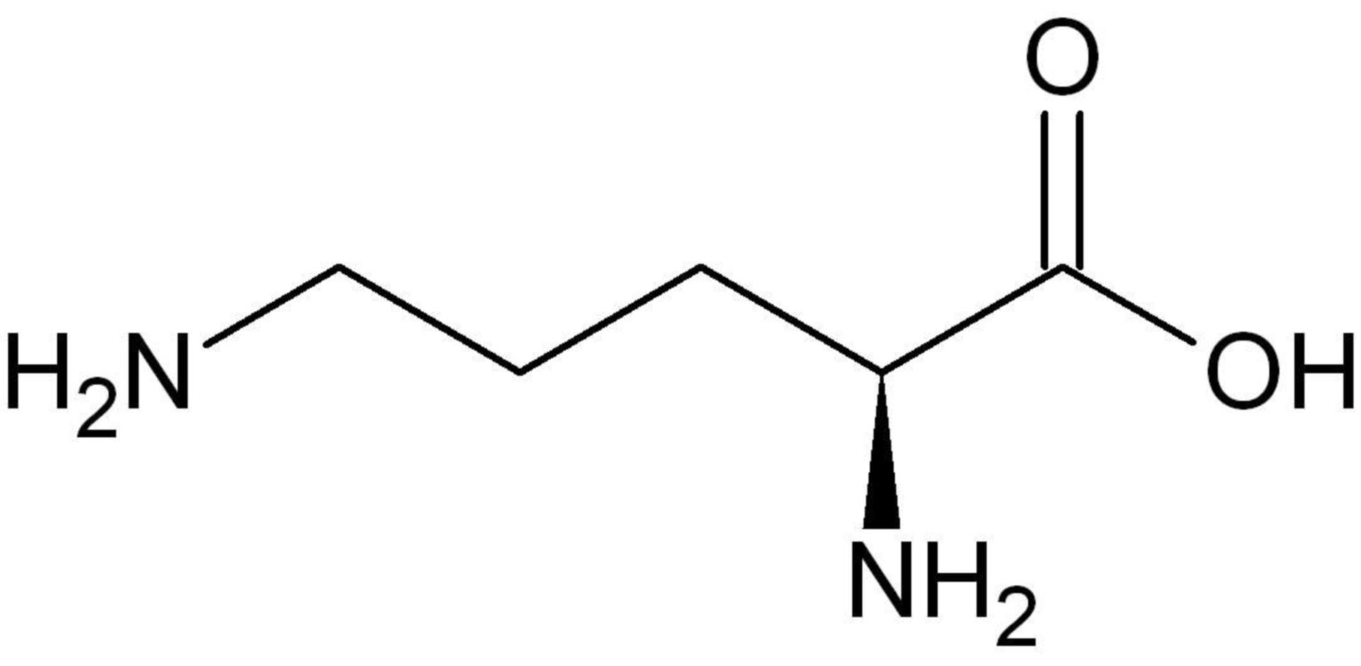 L-Ornithin