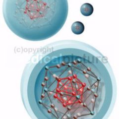 Funktionelle DocCheck Flexikon