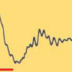 KKomplex DocCheck Flexikon