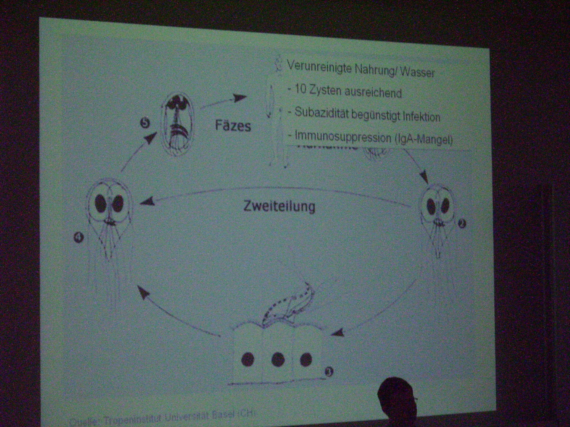 Corso di medicina tropicale a Lipsia