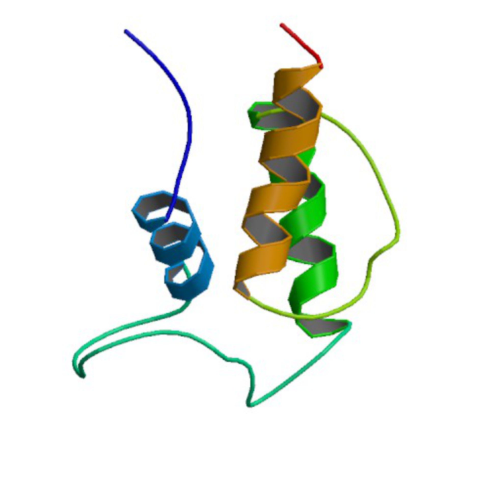 Acyl- Carrier- Protein