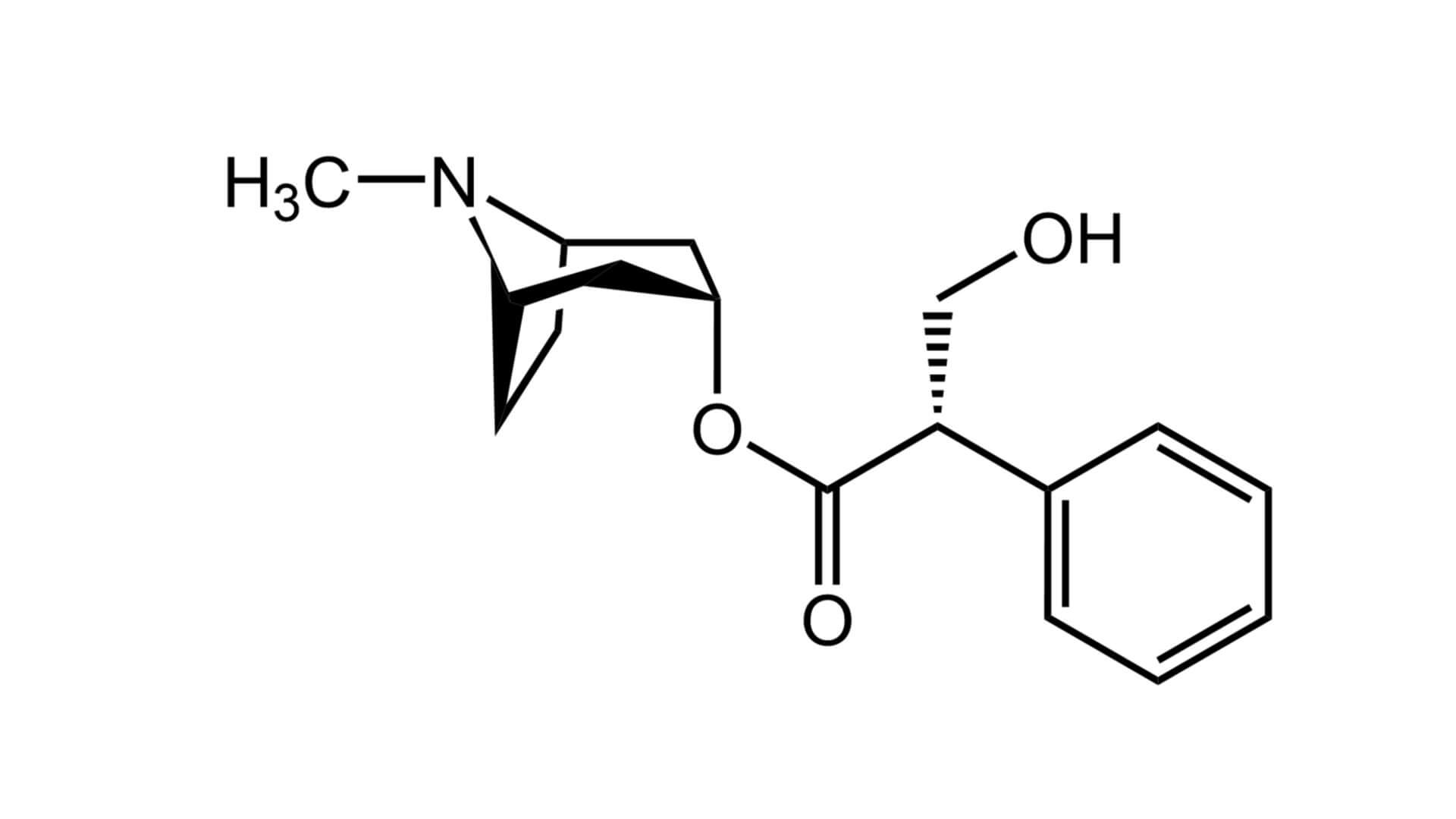 Hyoscyamin