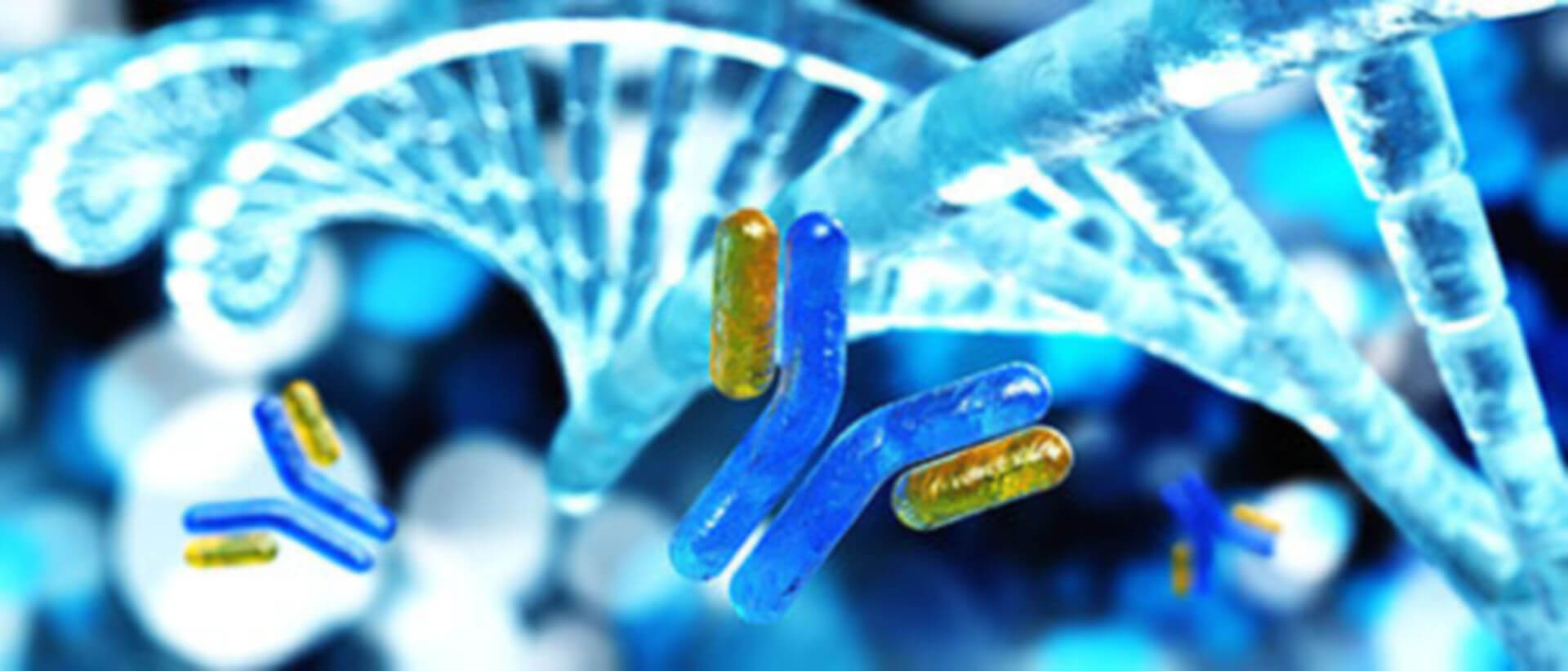 Antibody-siRNA Conjugates