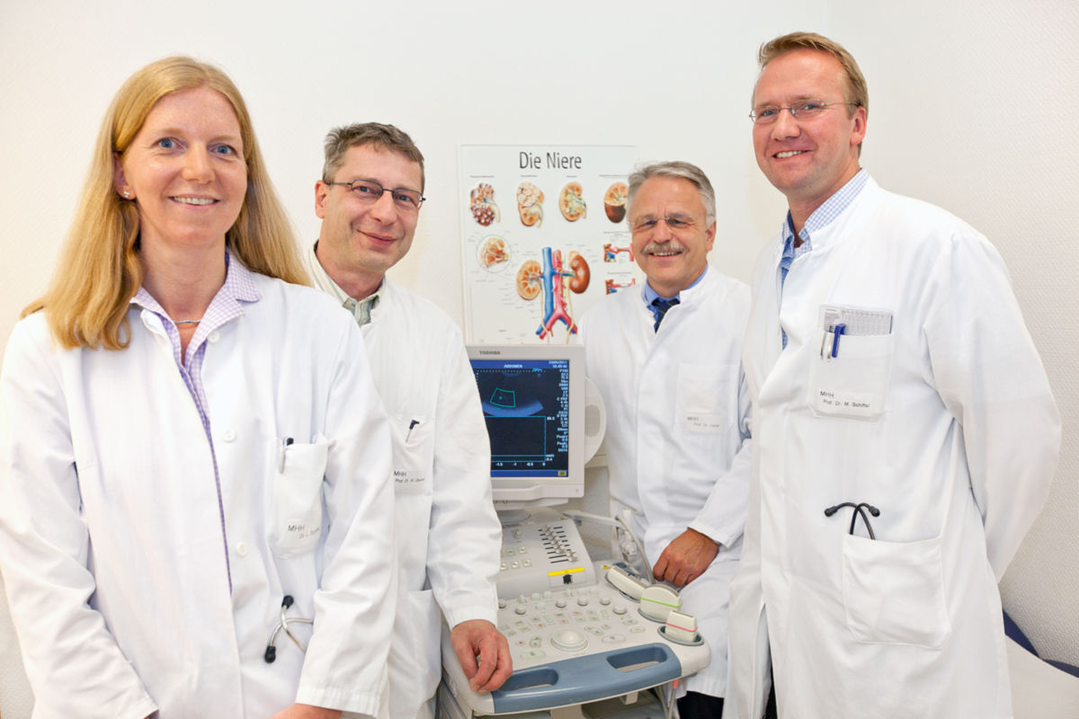 MHH-research: 1.8 million € for longer survival of transplanted kidneys