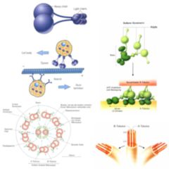 Extrapyramidales Syndrom Doccheck Flexikon
