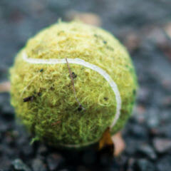 Rekonvaleszentenserum DocCheck Flexikon