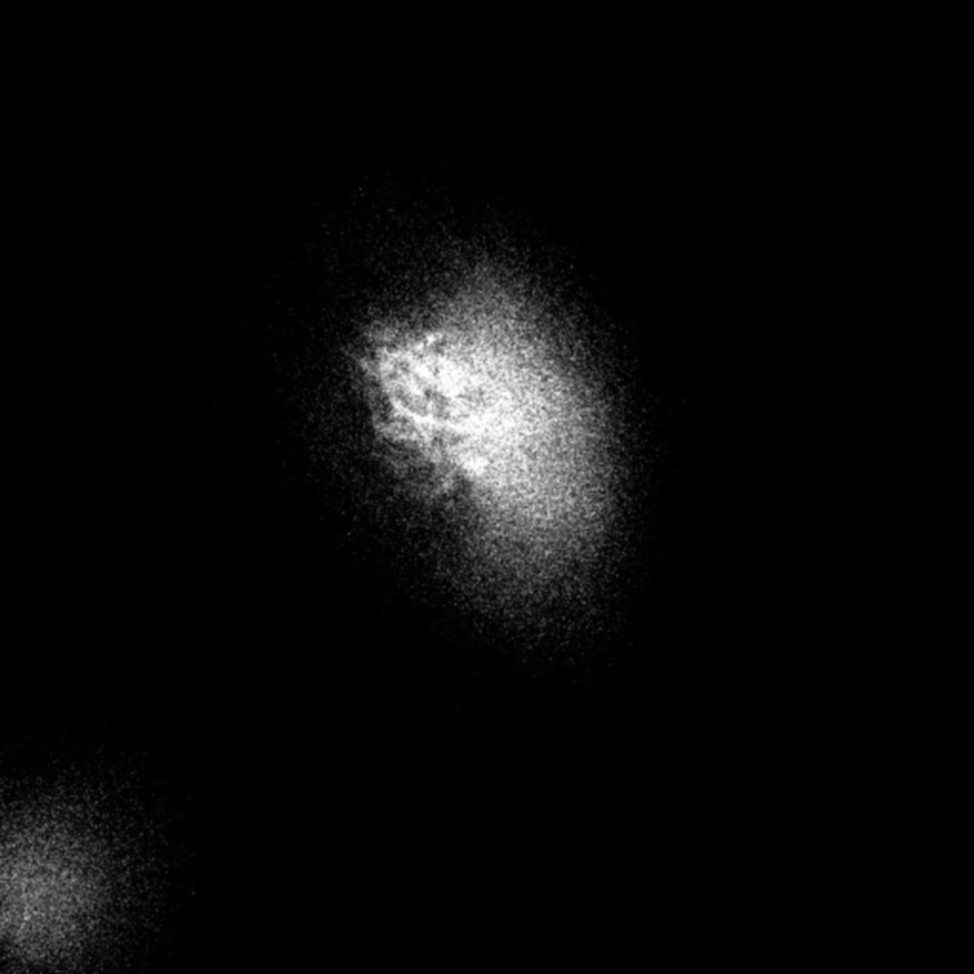 Homo sapiens (Endoplasmic reticulum) - CIL:9169