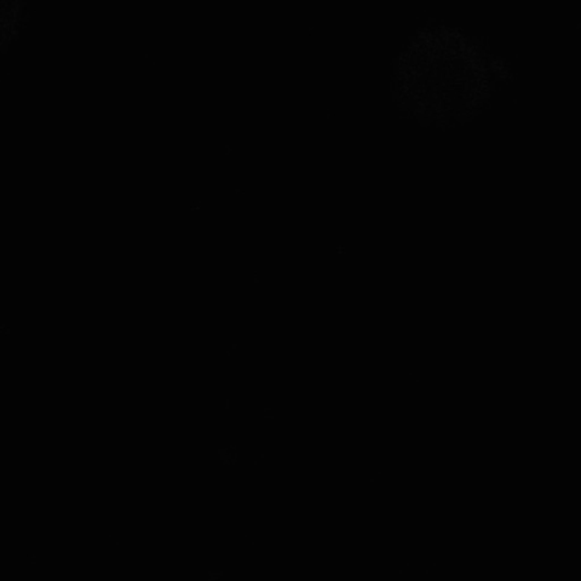 Xenopus laevis (Axon) - CIL:36864