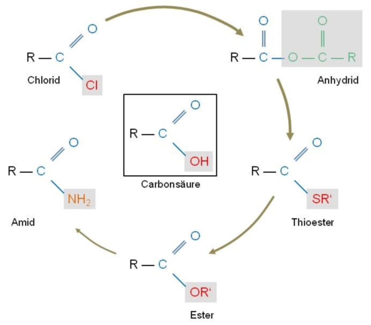 Reaktivitätsabnahme - Carbonylgruppe verschiedener Carbonsäurederivate