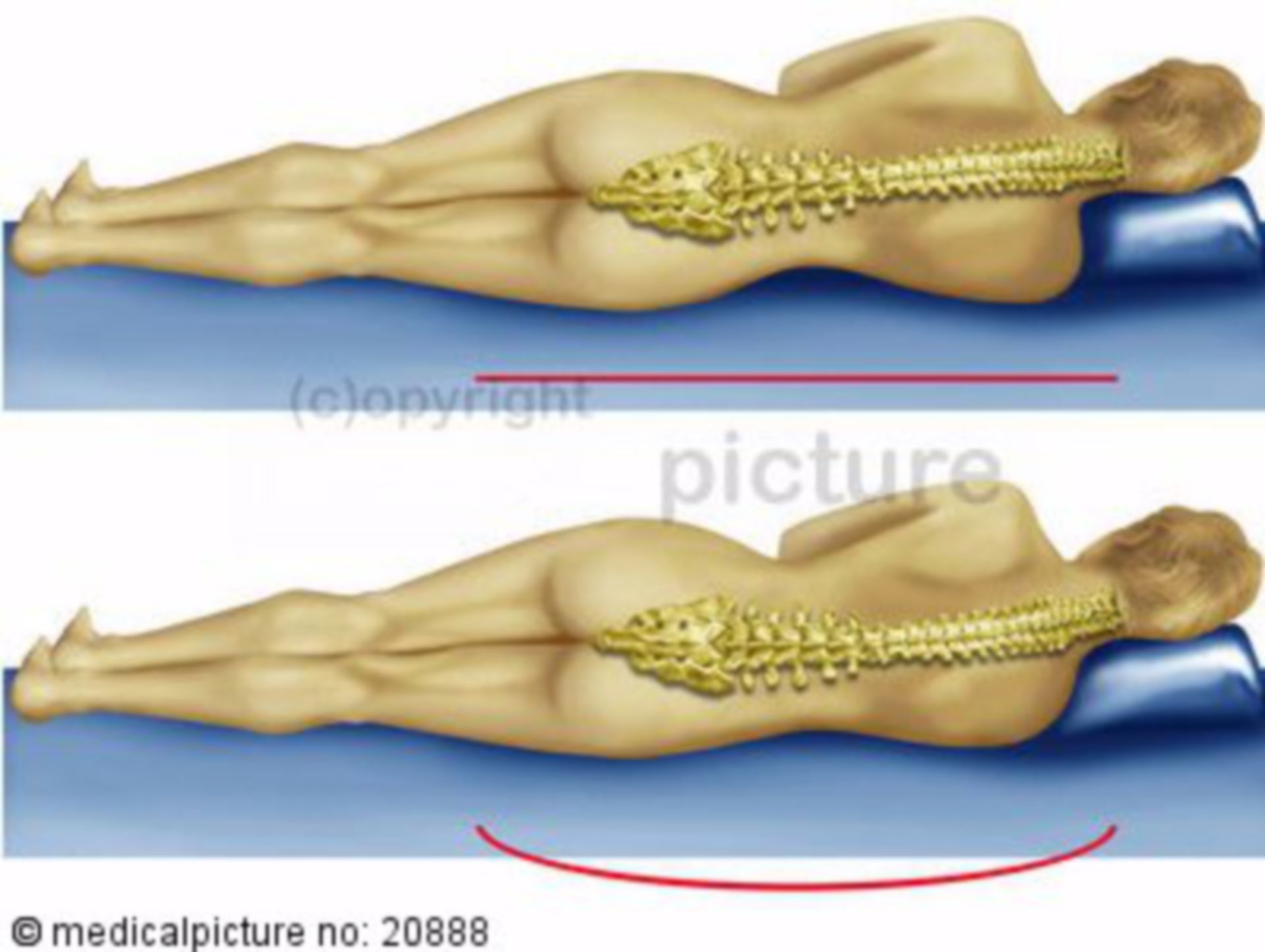 lateral position
