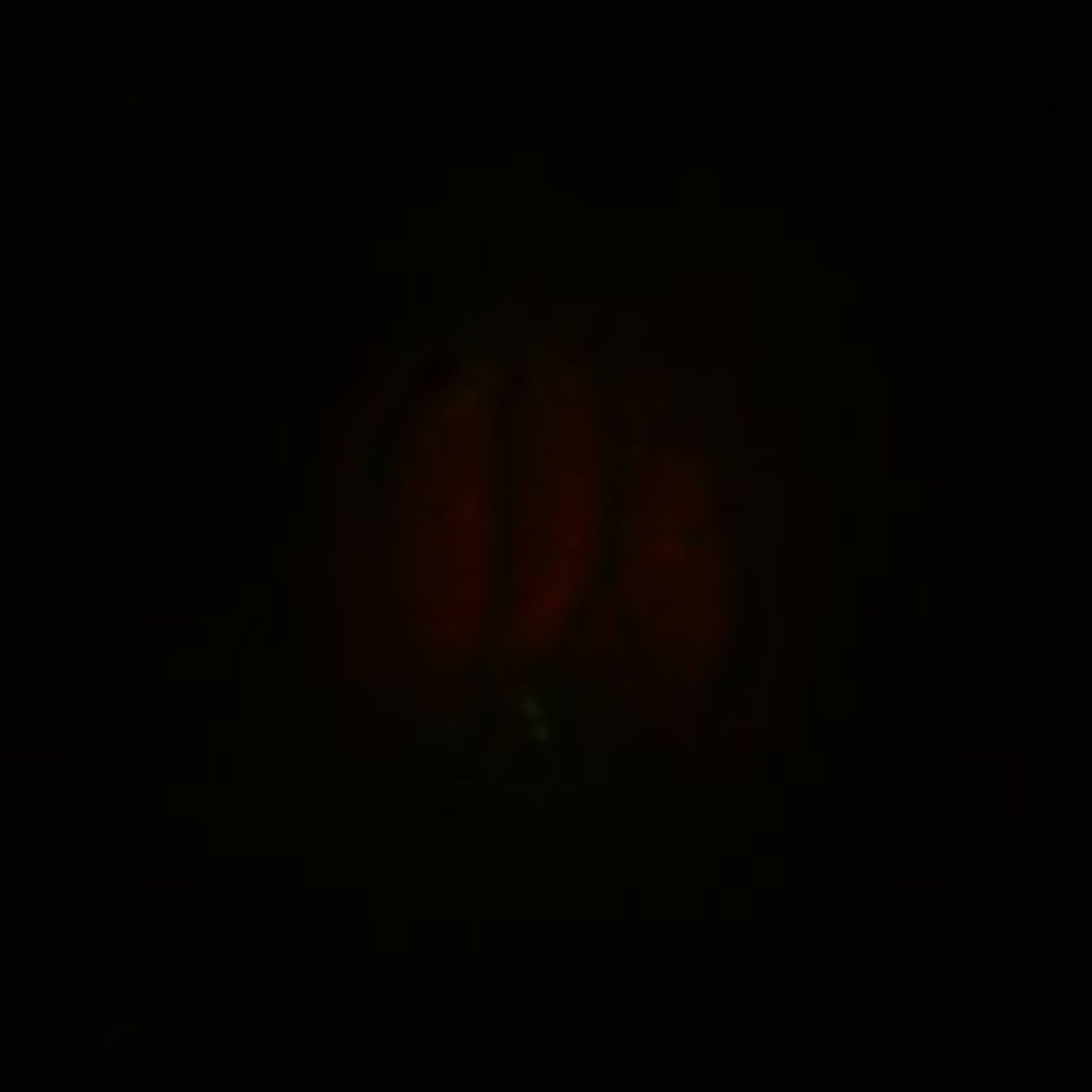 Toxoplasma gondii RH (Polar ring of apical complex) - CIL:10496