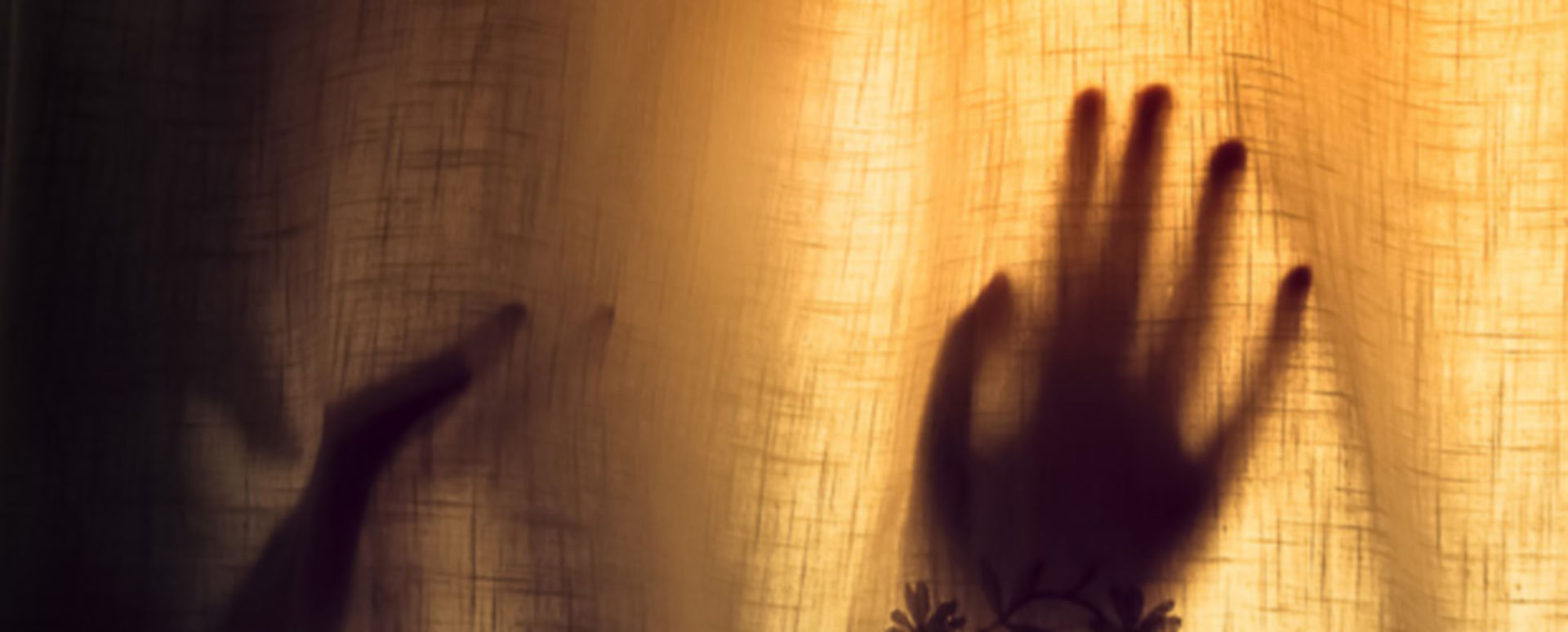 CMV Immunevasine mit Verschleierungstaktik DocCheck