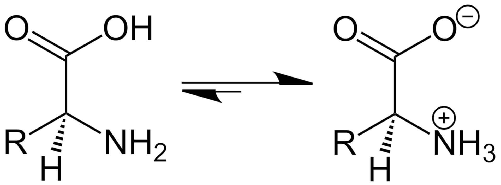 L-Aminosäure als Zwitterion