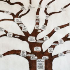 Keimblatt Doccheck Flexikon