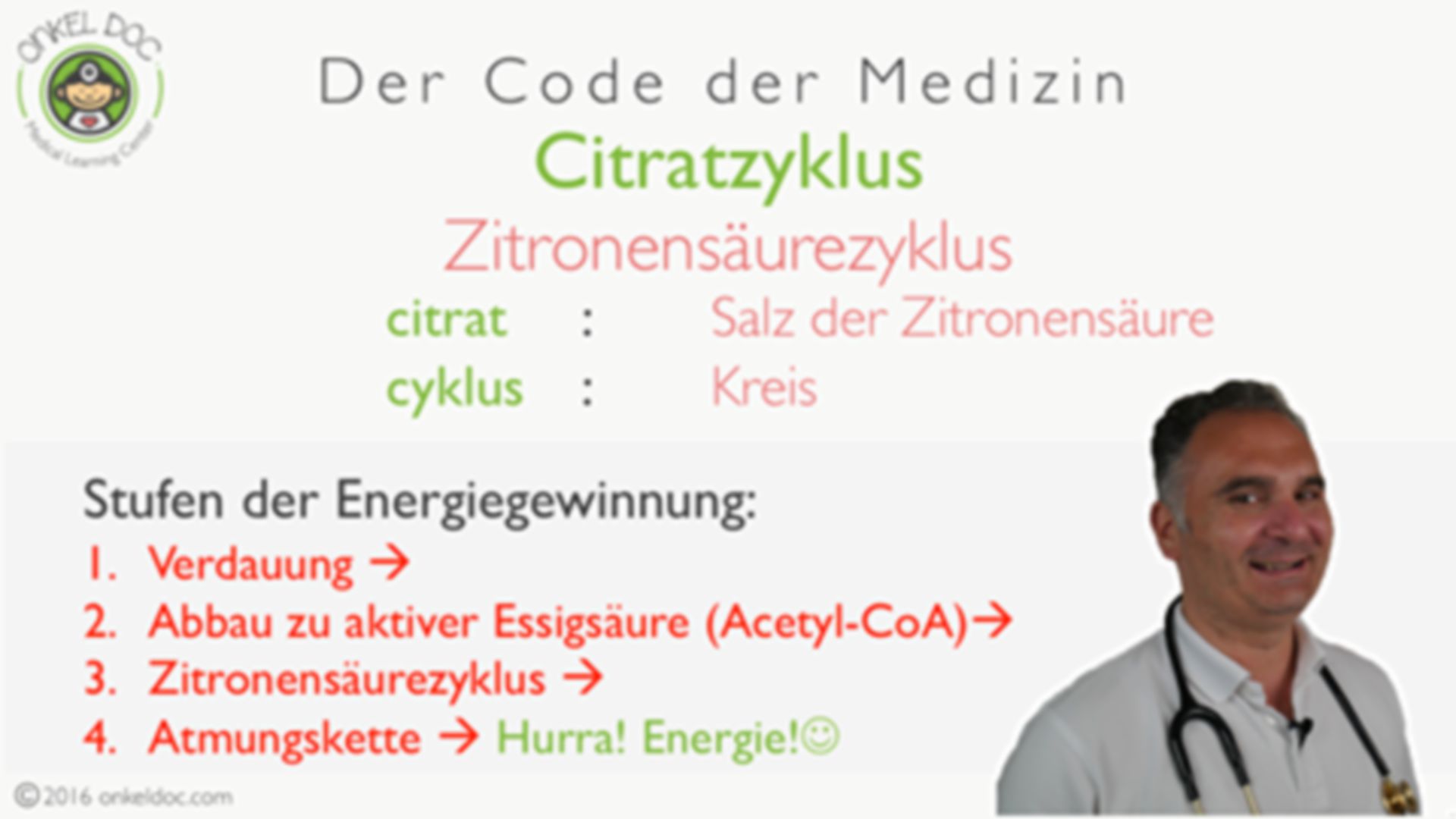 Code der Medizin: Citratzyklus