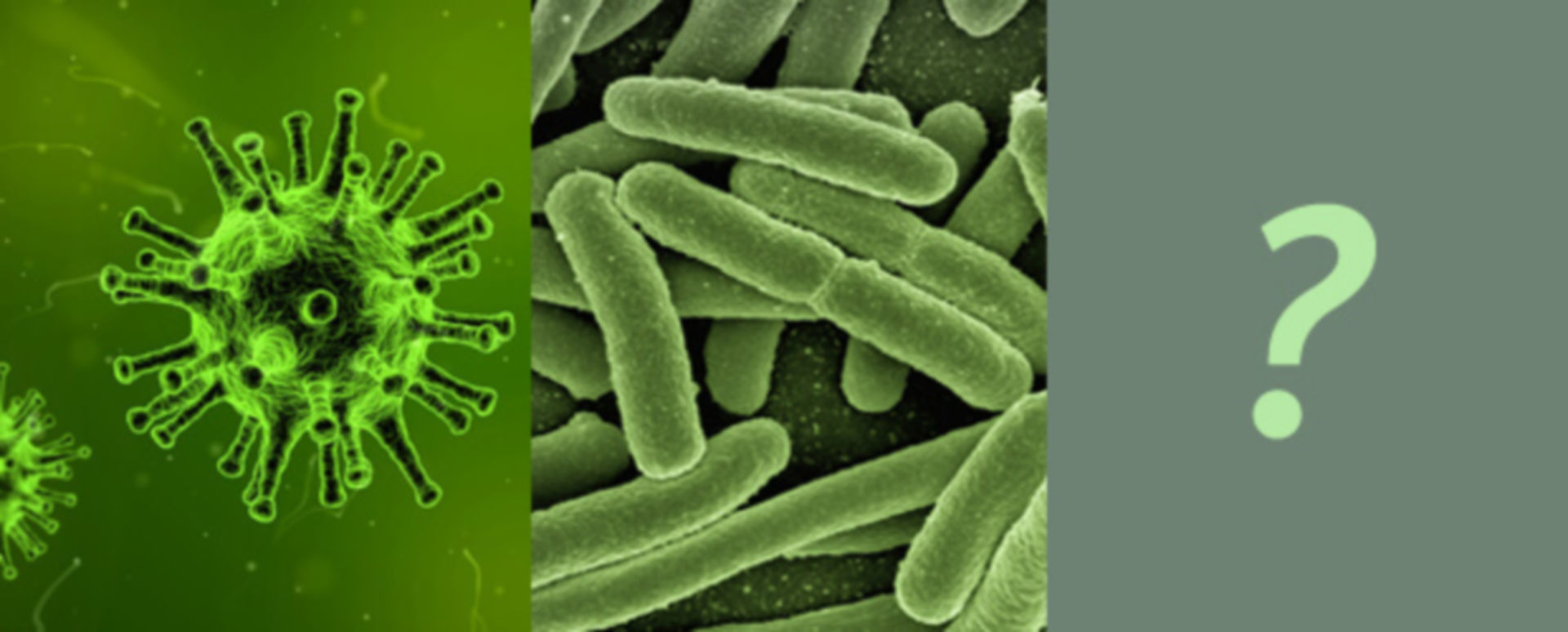 PCT-Test: Viral, bakteriell oder sinnlos? - DocCheck