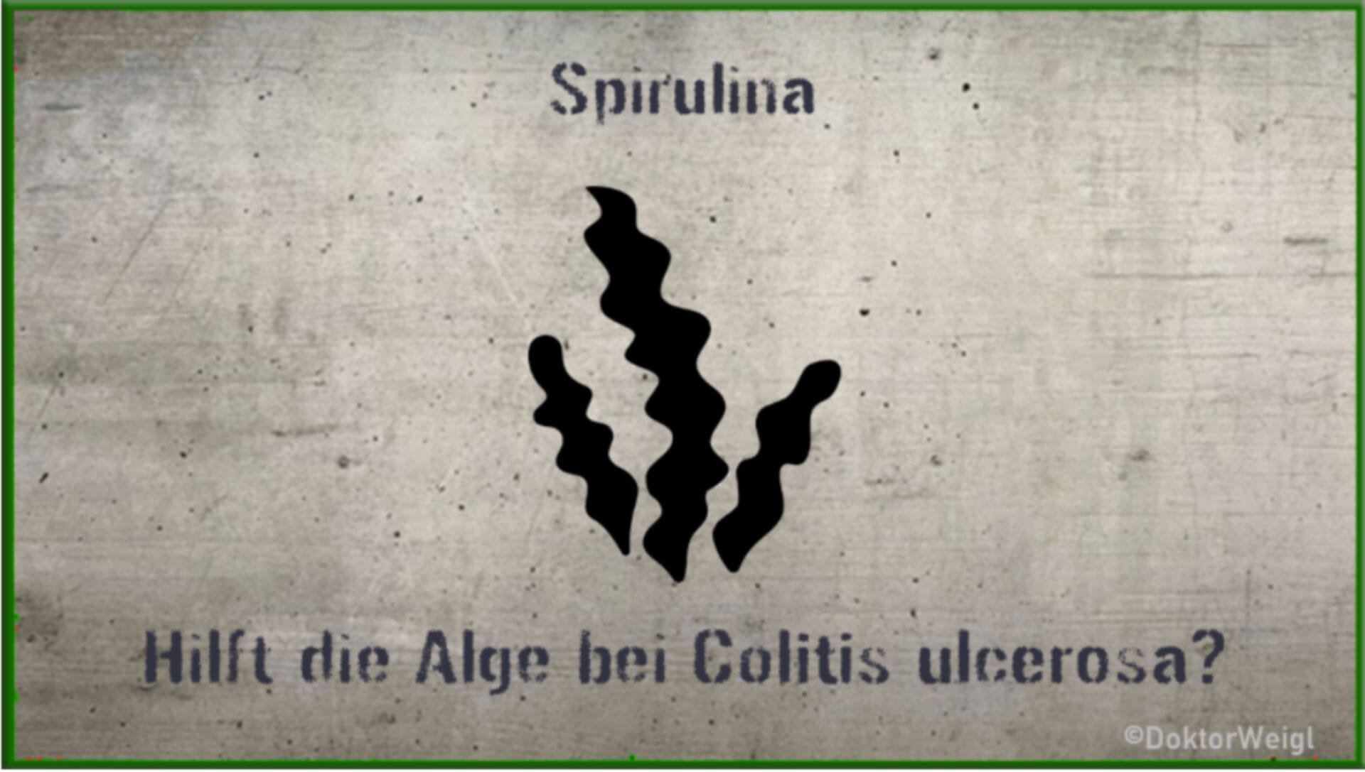 Spirulina – hilft die Alge bei Colitis ulcerosa?
