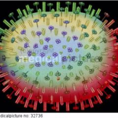 Stille Mutation DocCheck Flexikon