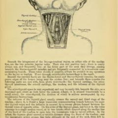 Gray's Anatomy (5) - DocCheck