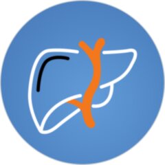 leberwissen_mdSq