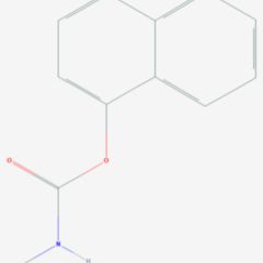 Carbamat DocCheck Flexikon
