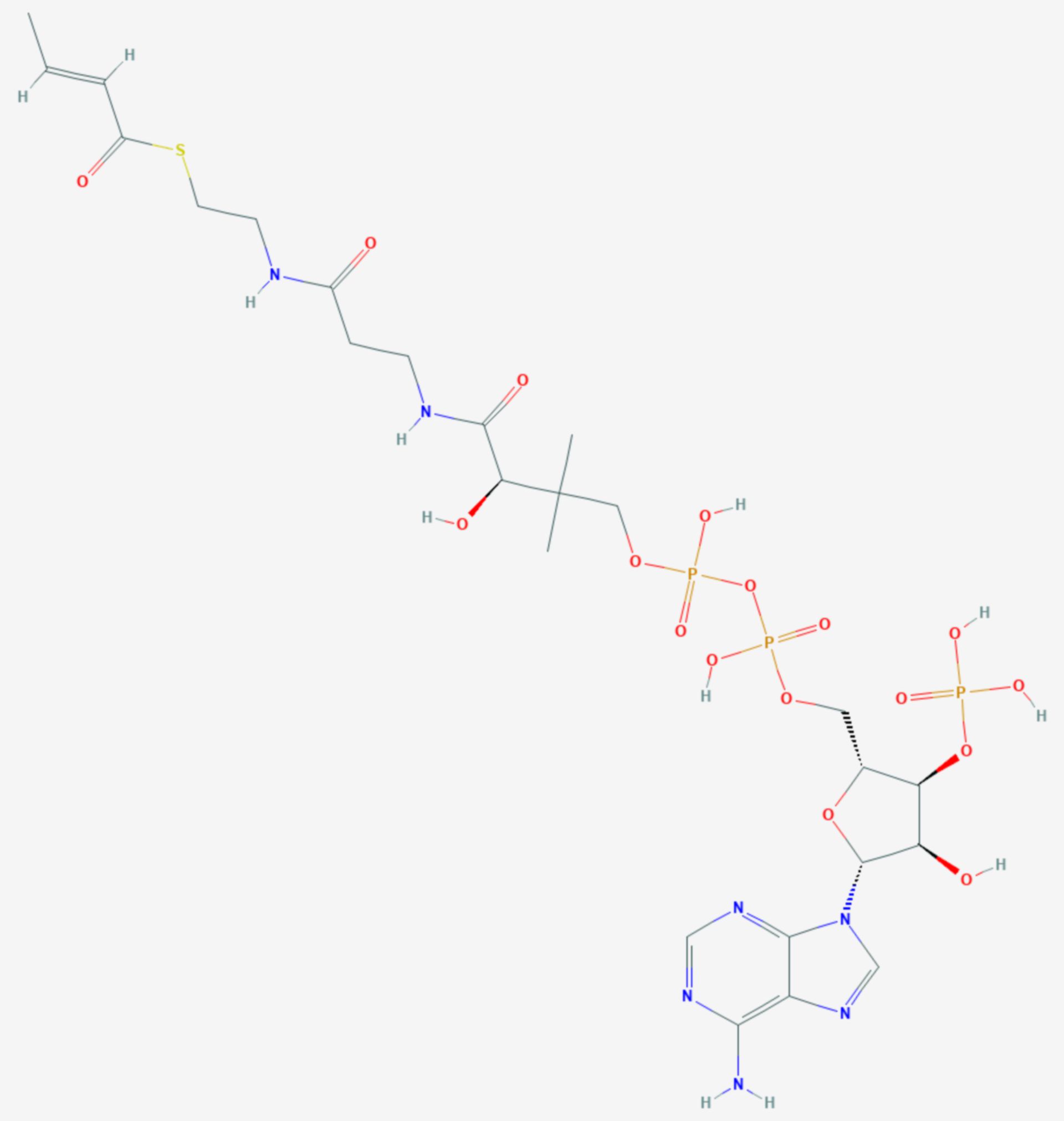 Crotonyl-CoA (Strukturformel)