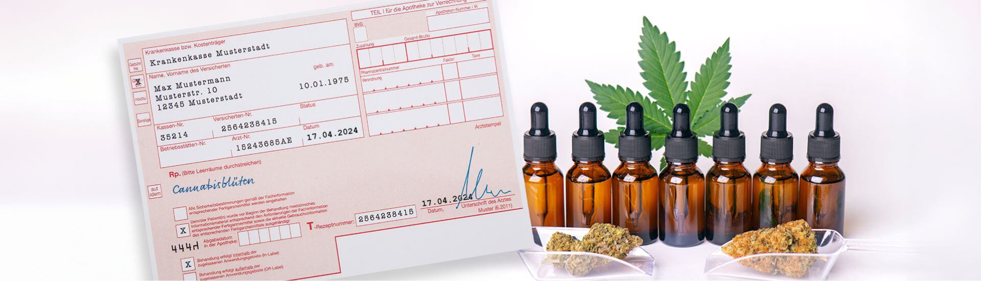 CanG in vollem GanG Auswirkungen des Cannabisgesetzes auf die