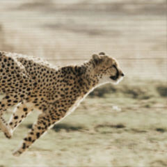 Mutante DocCheck Flexikon