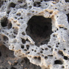 Neuronale Hemmung DocCheck Flexikon