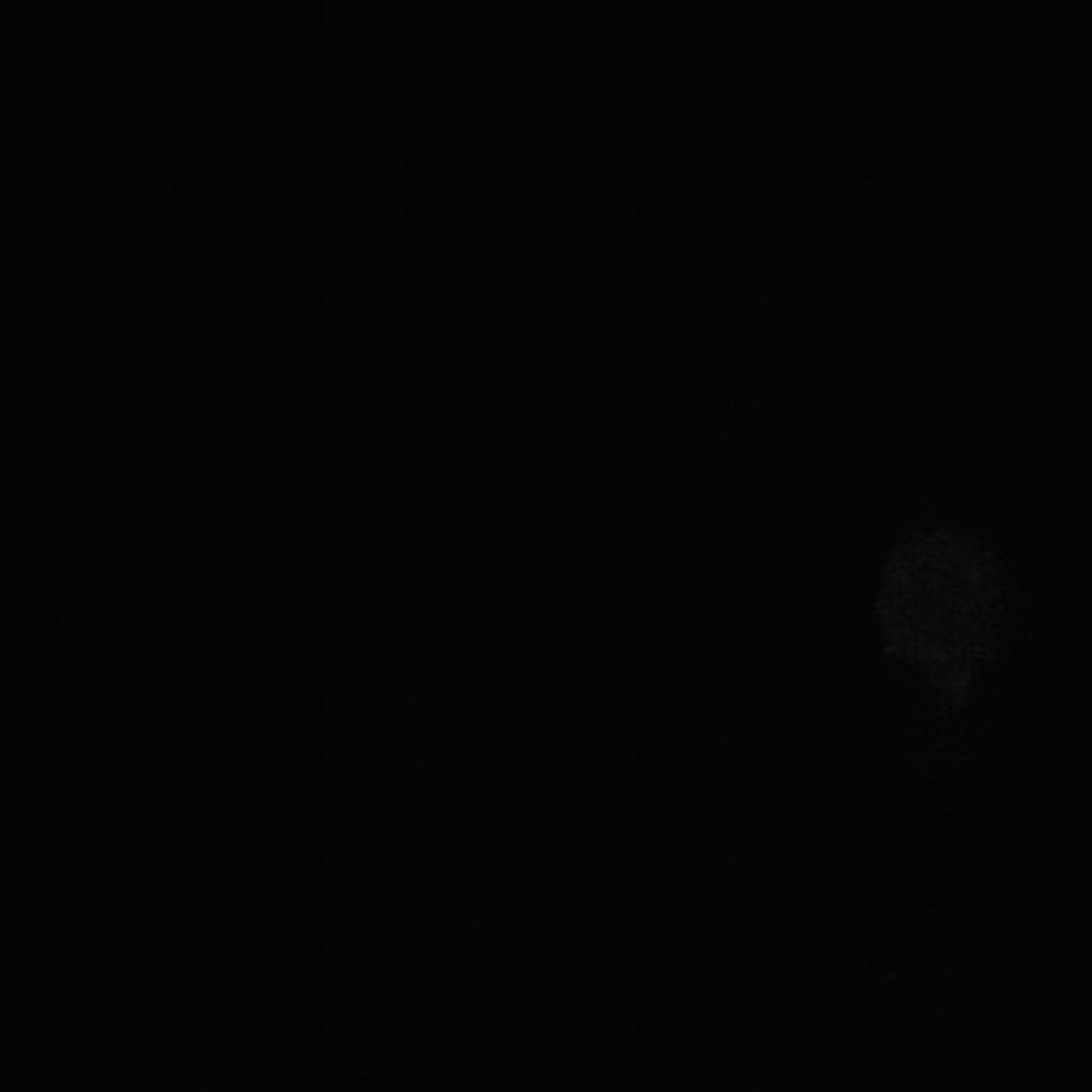 Xenopus laevis (Cytoplasm) - CIL:36868